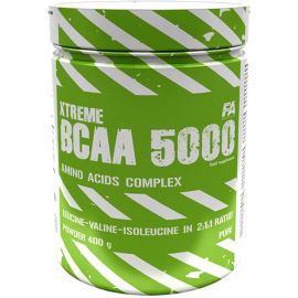 Xtreme BCAA 500
